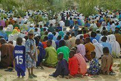 mali6038