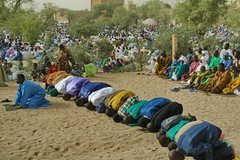 mali6040
