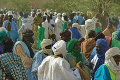 mali6059