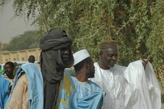 mali6064