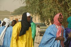 mali6065
