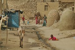 mali6096