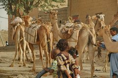 mali6138