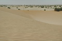 mali6222