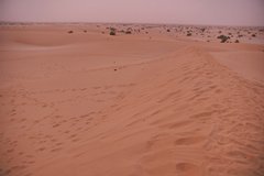 mali6227