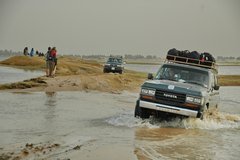 mali7005