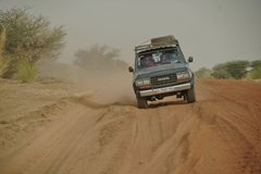 mali7007
