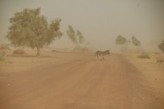 mali7013