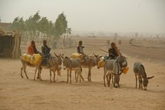 mali7016