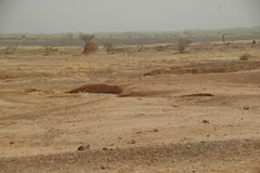 mali7023