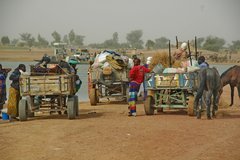 mali7056