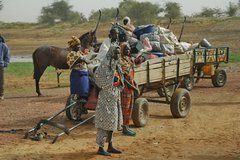 mali7063
