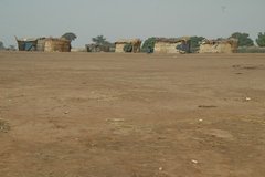 mali7069