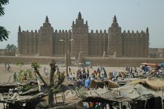 mali7098