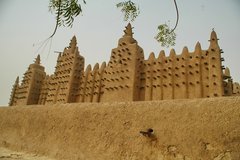 mali7101