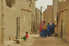 mali7105