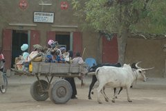 mali7143