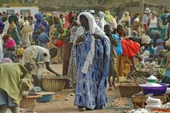 mali7165