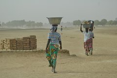 mali7168