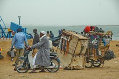 mali8015