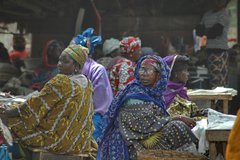 mali8022