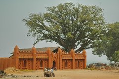 mali8042