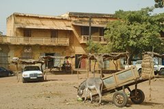 mali8055