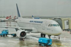 mali9999