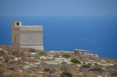 malta3100