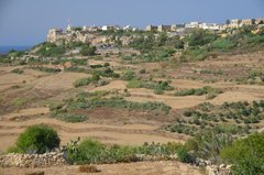 malta5220