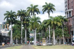 mauritius2442