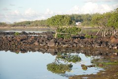 mauritius6009