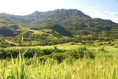 mauritius6019
