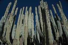 mexico2336