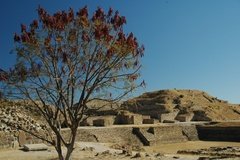 mexico2717