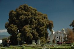 mexico2903