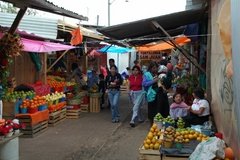mexico3137