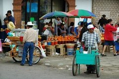 mexico3163