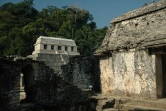 mexico4124