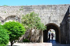 montenegro1008
