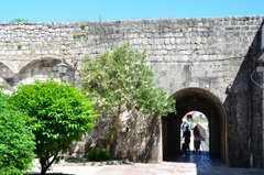 montenegro1008