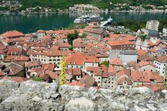 montenegro1075