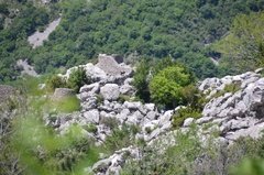 montenegro2168
