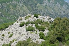montenegro3100