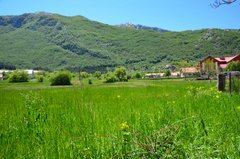 montenegro3111