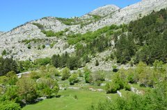 montenegro3114