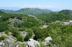 montenegro3119