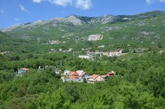 montenegro3123