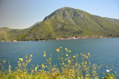 montenegro3128