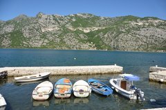 montenegro3136